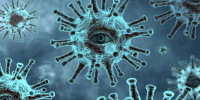 Ученые: коронавирусом в Петербурге переболели более 1 млн жителей