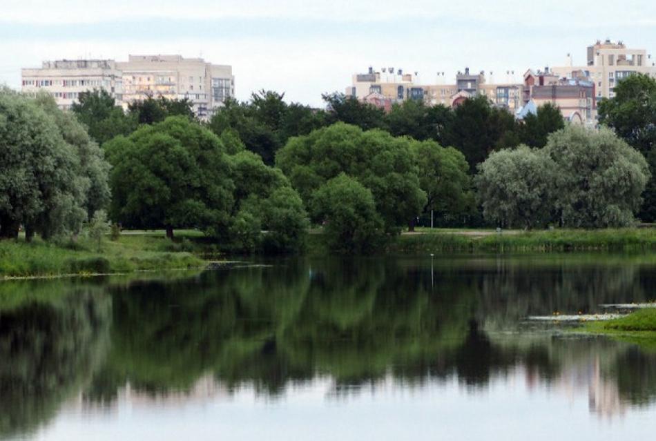 Муринский парк в санкт петербурге фото