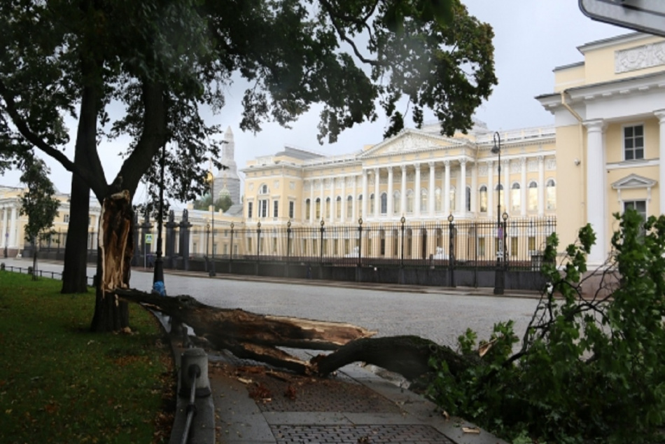 МЧС выезжало 436 раз на борьбу с последствиями урагана в Петербурге