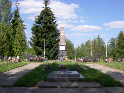 Фото Синявинские высоты