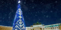 20 новогодних елей обойдутся городу в 52,5 млн рублей