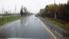 Перебегавший Мурманское шоссе лось едва не угодил под колеса авто