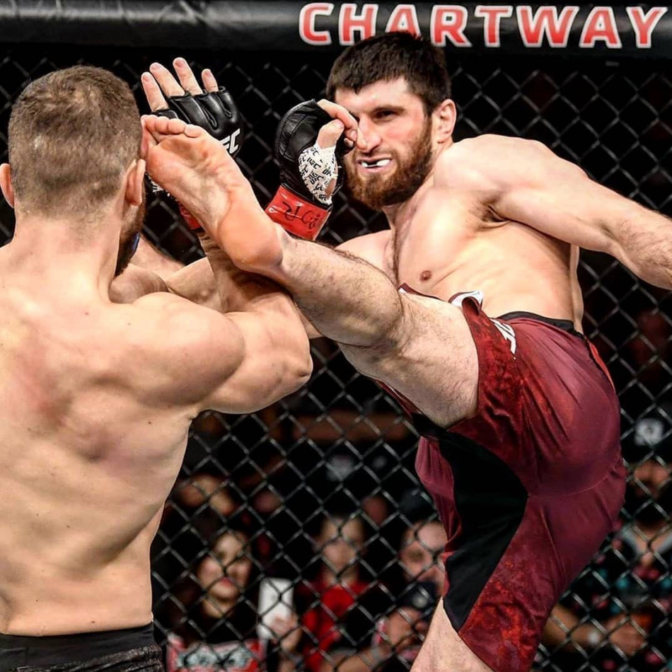 Россиянин Анкалаев зрелищно нокаутировал Иона Куцелабу на UFC 254