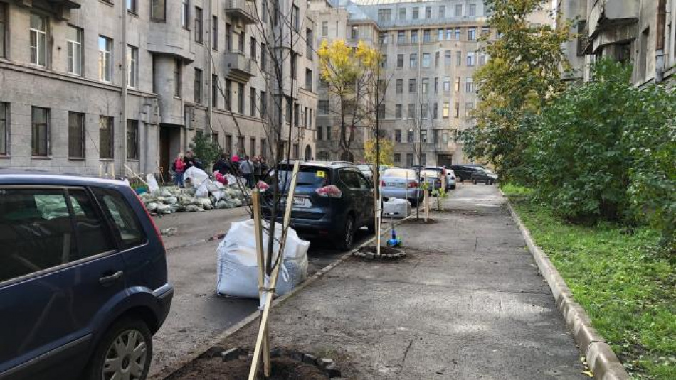 Петербуржцы высадили липы на Некрасова