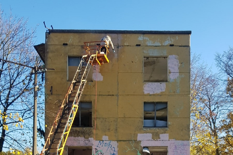 На петербургских художников написали заявление в полицию за рисунок оленя