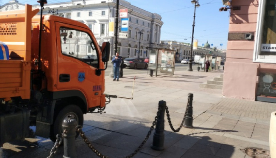 Жители Петербурга назвали самый чистый район города