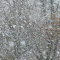 В конце недели в Петербурге выпадет снег 