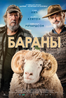 Бараны Бараны