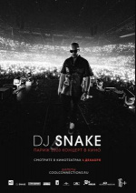 DJ SNAKE: Париж 2020. Концерт в кино (DJ Snake - The Concert In Cinema)