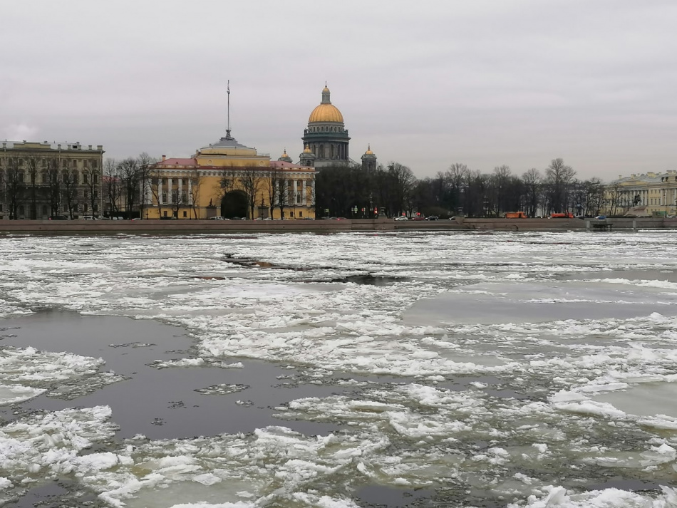 На реках и каналах в центре Петербурга появился лед