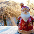 В середине ноября жители Петербурга смогут отправиться в гости к Деду Морозу на «Зимней сказке»