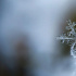 Во вторник петербуржцев ждут морозы до -12 градусов и небольшой снег