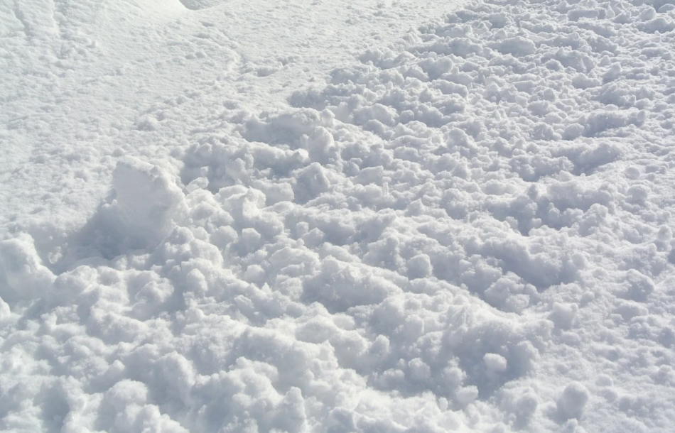 Коммунальщики вновь вышли на борьбу со снегом в Петербурге