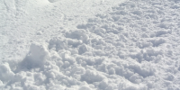 Коммунальщики вновь вышли на борьбу со снегом в Петербурге