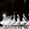 Фото Выставка Life in russian ballet
