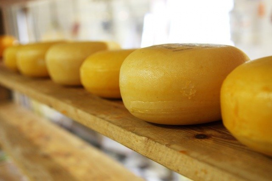 В Гатчинском районе Ленобласти планируют построить завод по производству сыров за 152 млн рублей
