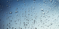 Дожди и грозы: синоптики рассказали о погоде в Ленобласти на выходных