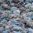 Новый год с кучами мусора: жители Петербурга недовольны уборкой отходов во дворах