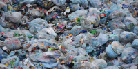 Жители бьют тревогу: рядом с Петергофом может появиться мусорный полигон