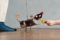 Фото Робот и пластиковая собака (Театр Лось и светлячок)