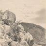 Фото Выставка Иван Иванович Шишкин. 1832–1898
