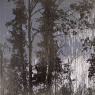 Фото Выставка Мэттью Брандта Таинственный лес