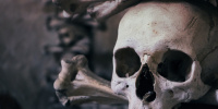 Зарытый по пояс скелет женщины нашли в подвале дома на Лиговском