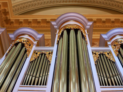 Фото Органные концерты в Таврическом дворце