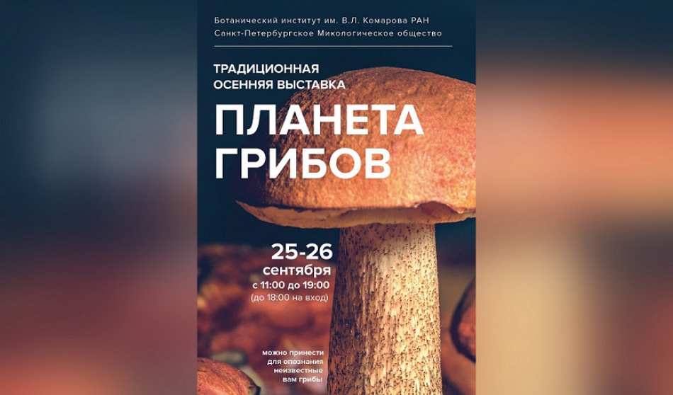 В Ботаническом саду открылась «Планета грибов»