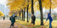 Петербуржцев пригласили озеленять город в 32 парках и скверах