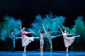 Фото Hamburg Ballet: Сон в летнюю ночь (TheatreHD)