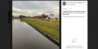В Дудергофском канале заметили много мертвой рыбы В Дудергофском канале заметили много мертвой рыбы