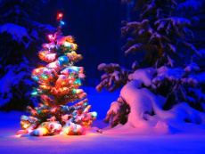 Открытие Нового Года