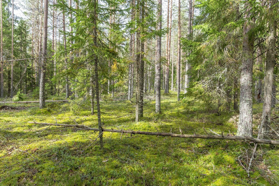 Россияне бегут из городов