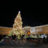 Половине петербуржцев не понравилась новогодняя ель на Дворцовой площади 