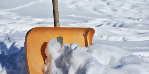 За сутки с петербургских улиц вывезли 120 кубометров снега 