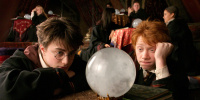 «Гарри Поттер» и «Фантастические твари» уберут из библиотеки «КиноПоиска» в конце января