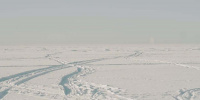 Двое рыбаков провалились под лед на Финском заливе