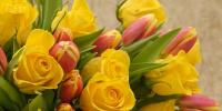 В Петербург завезли более 9 тонн цветов из Латвии к Международном женскому дню