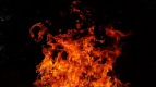 Ночью в Приморском районе полностью сгорел ларек