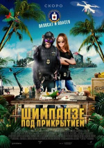 Шимпанзе под прикрытием (C.I.Ape)