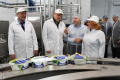 Ленобласть начала производство сыров на замену импорта
