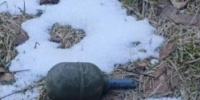 У жилого дома в Мурино нашли предмет, похожий на гранату