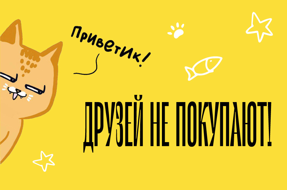 В Петербурге стартует проект «Друзей не покупают!» о приютских и бездомных котах