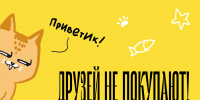 В Петербурге стартует проект «Друзей не покупают!» о приютских и бездомных котах