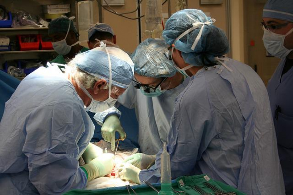 Органы для жизни: Минздрав получил предложения Давыдова о трансплантации
