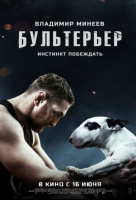 Бультерьер Бультерьер