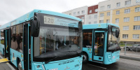 Четыре популярных маршрута усилят 16 новых автобусов в Петербурге