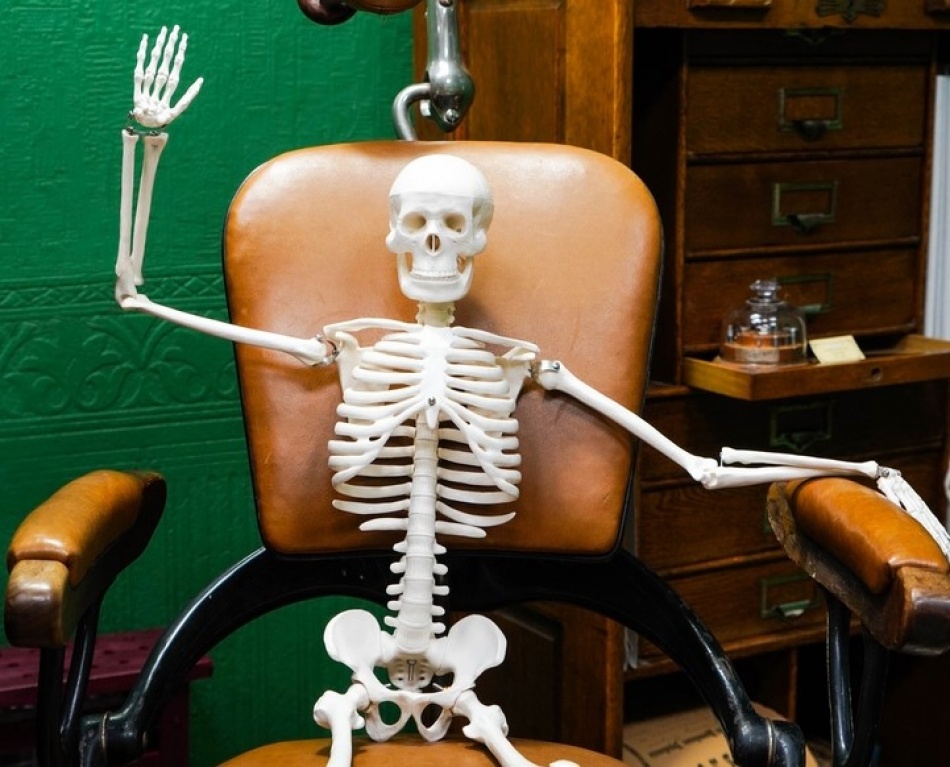 Сыграть в футбол силой мысли, посмотреть на фриков и рекордсменов: 7 медицинских музеев Петербурга