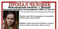 В Новгородской области без вести пропала жительница Петербурга